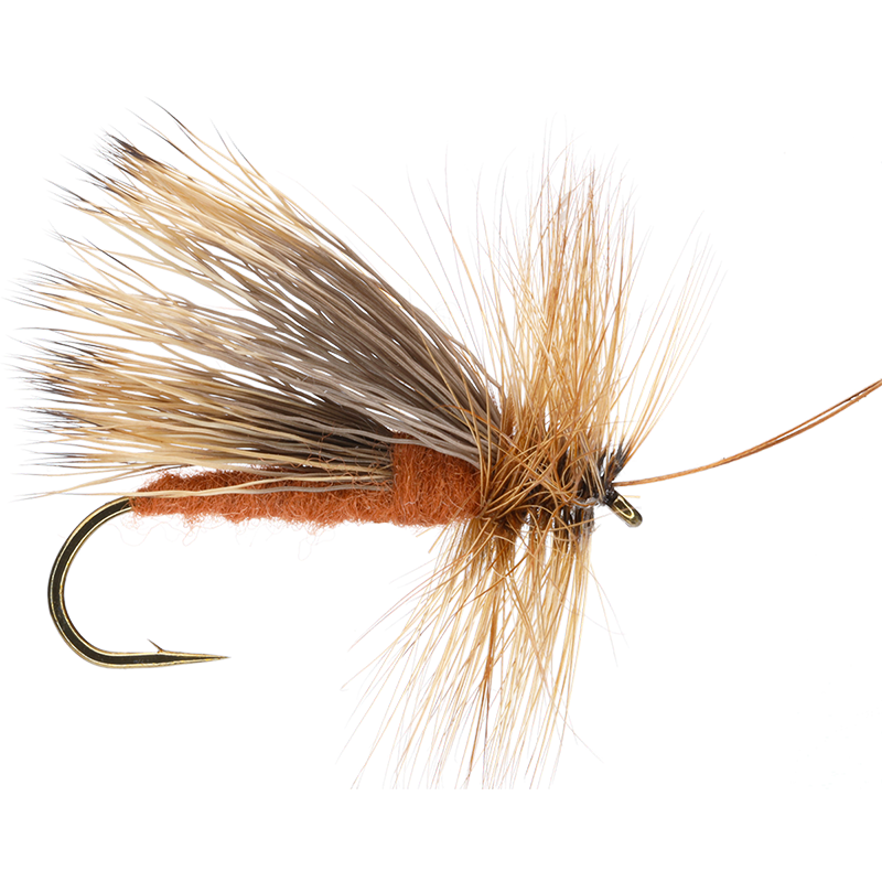 Adult October Caddis Smitty's Fly Box