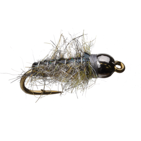 Bead Dark Sow Bug Nymph
