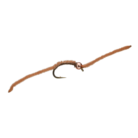 San Juan Worm