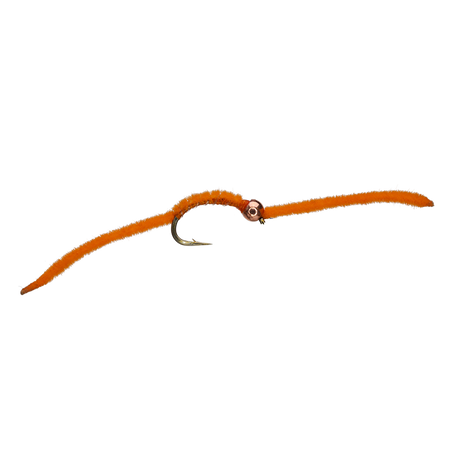 San Juan Worm