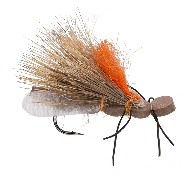 Fluttering Salmonfly