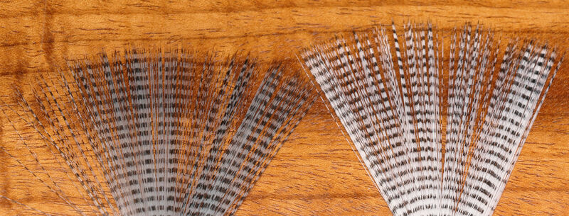 Hareline Barred Mayfly Tail