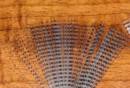 Hareline Barred Mayfly Tail