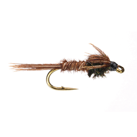 Pheasant Tail