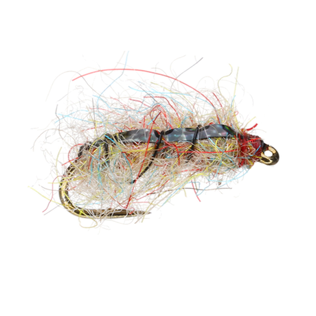 Rainbow Sow Bug Nymph