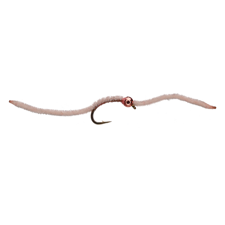 San Juan Worm