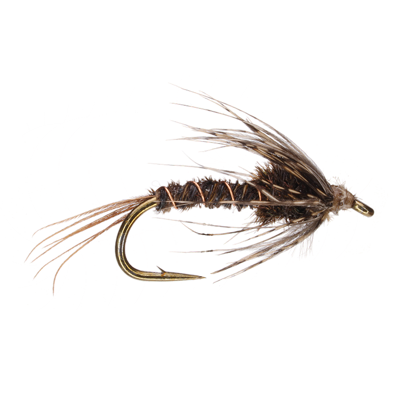 Soft Hackle Pheasant Tail