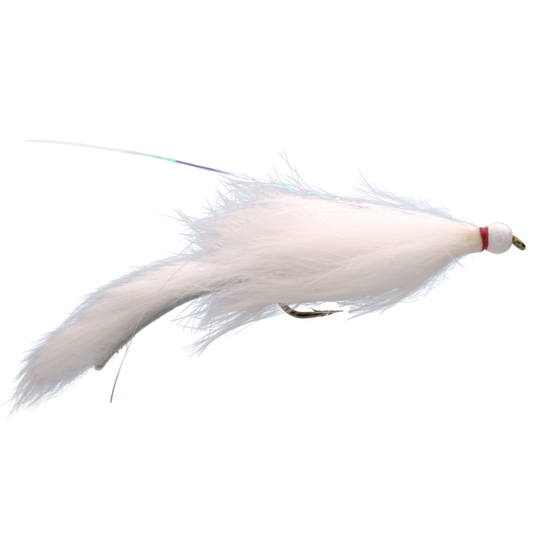 Bunny Leech