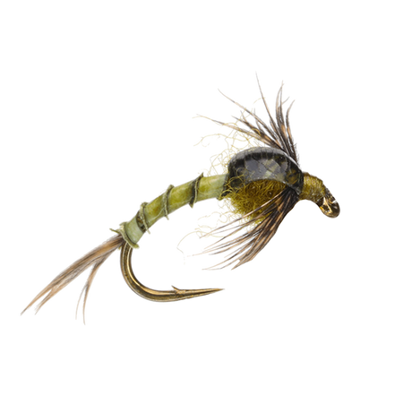 Biot Nymph
