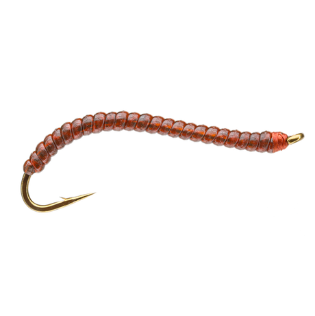 Larva Lace Worm