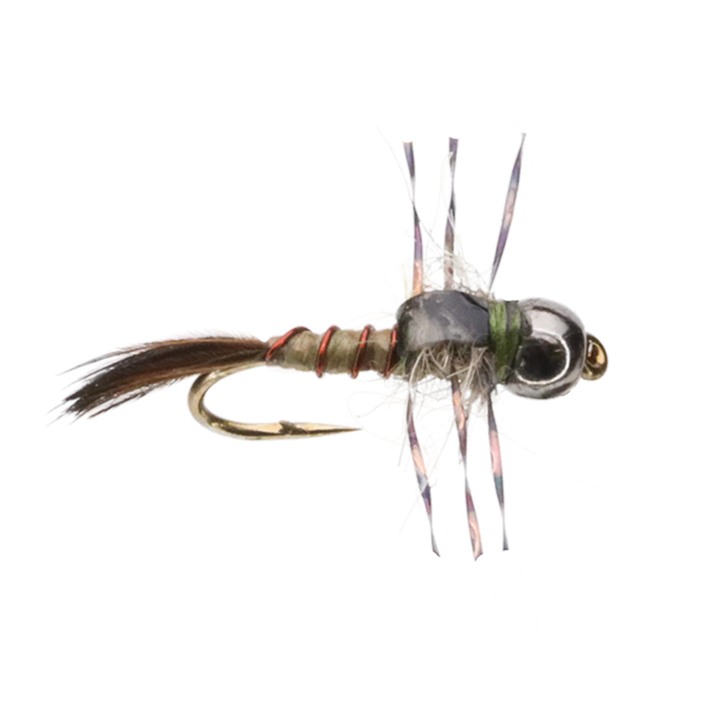Bug E Nymph