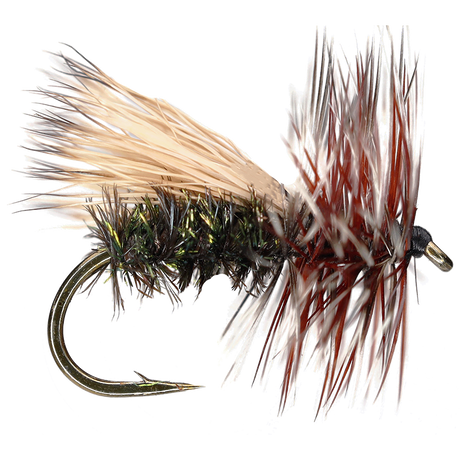 Peacock Caddis