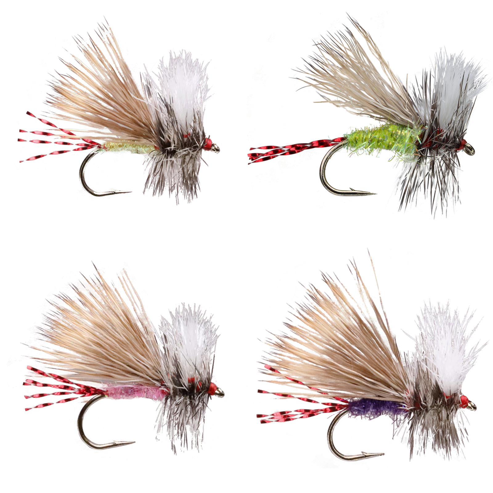 Fatal Attractor