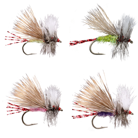 Fatal Attractor