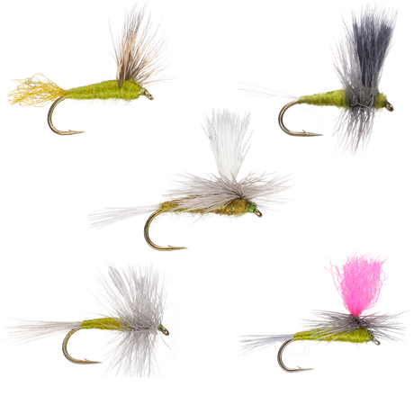 Blue Wing Olive