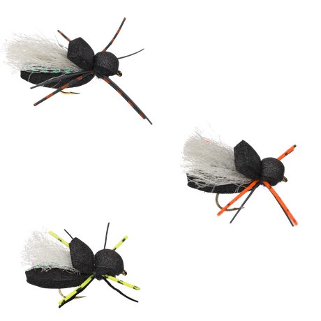 Cicada