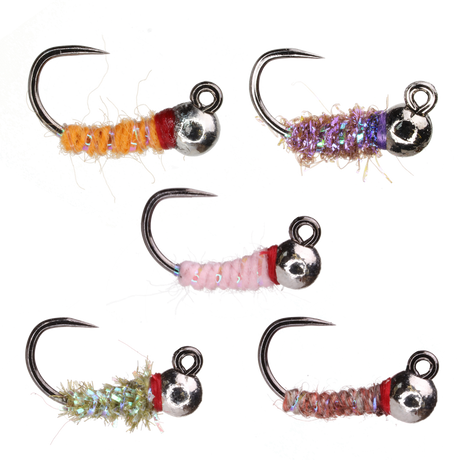 Walts Worm