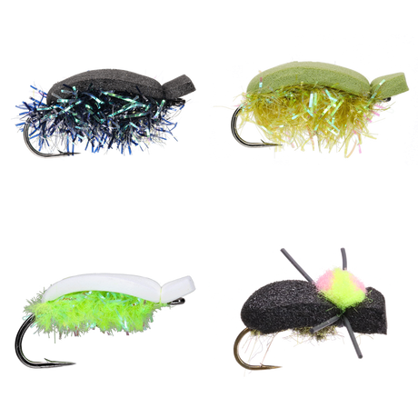Beetle