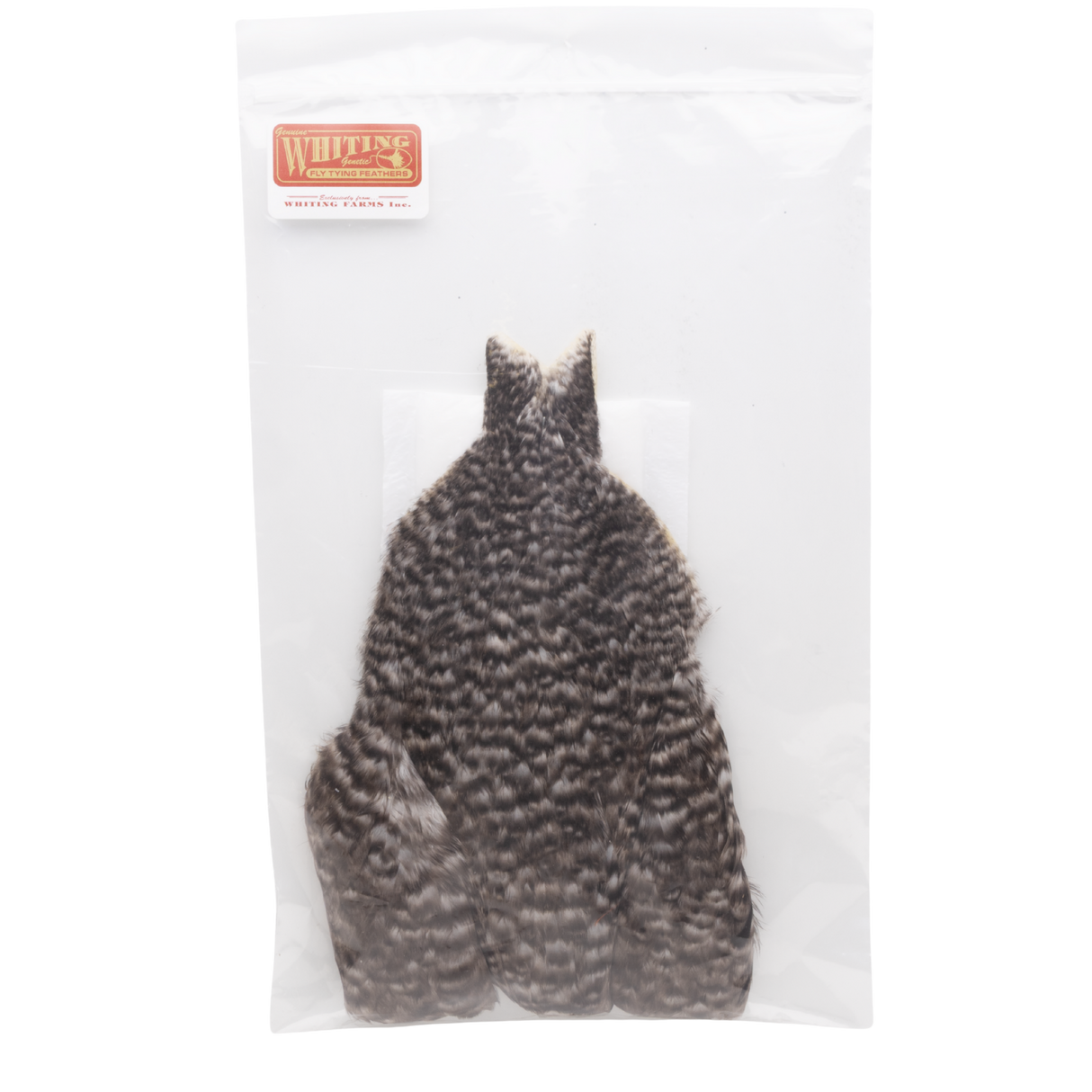 Whiting 4 B's Hen Cape