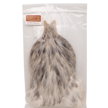 Whiting 4 B's Rooster Cape