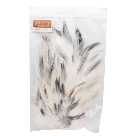 Whiting 4 B's Rooster Saddle