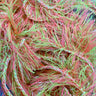Upavon Two-Tone Straggle Hackle