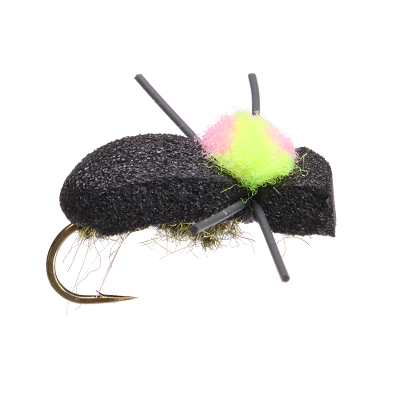 Black Foam Beetle