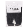 AXXEL Flash