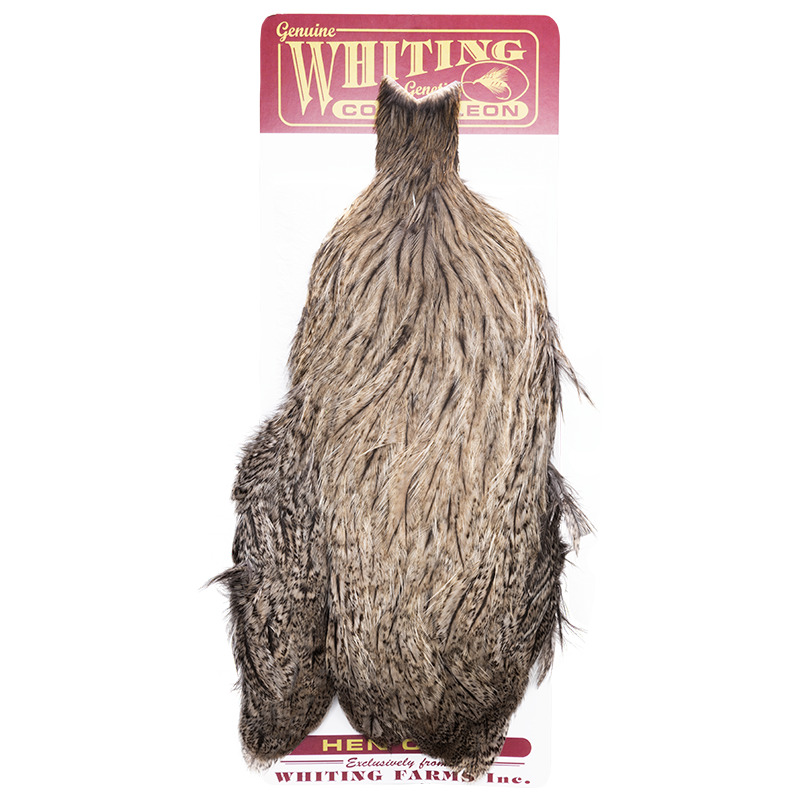 Whiting Coq de Leon Hen Cape