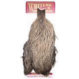 Whiting Coq de Leon Hen Cape