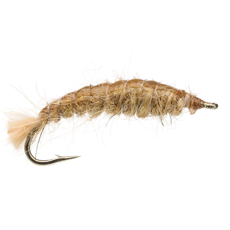 Tan Crane Fly Larva