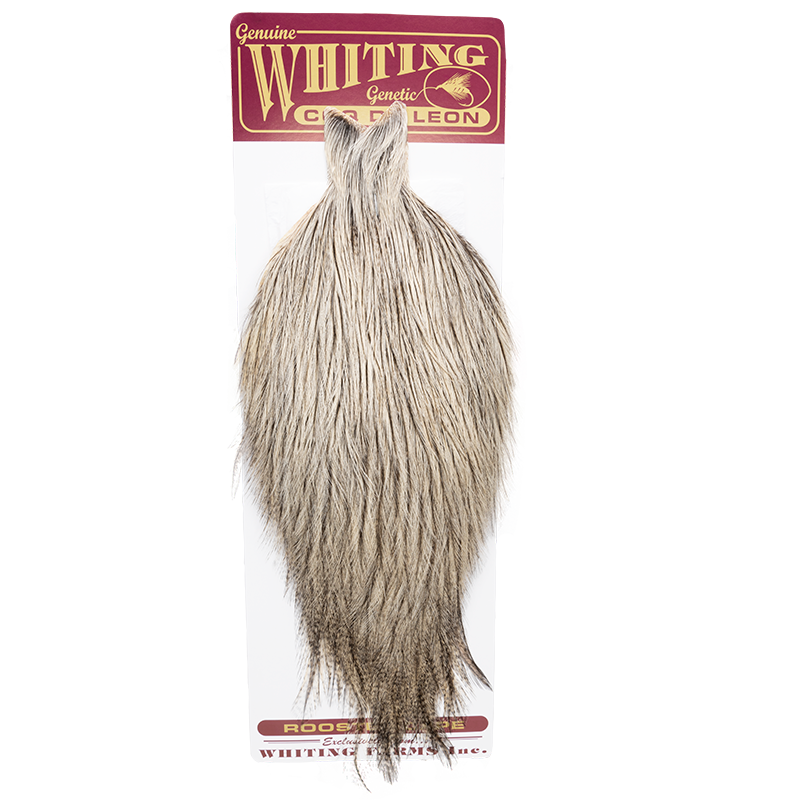 Whiting Coq De Leon Cape