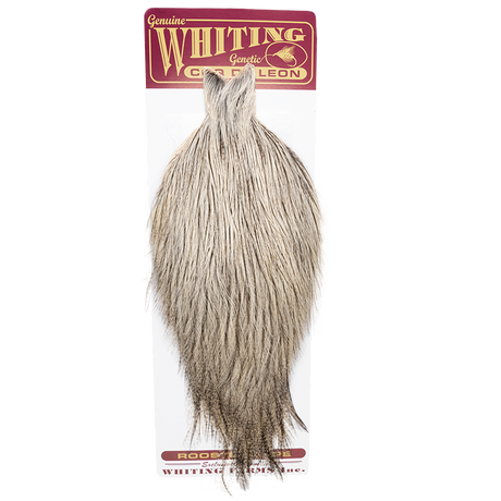 Whiting Coq De Leon Cape