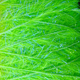 Upavon Pure UV Straggle Hackle