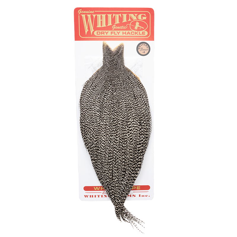 Whiting Bronze Cape