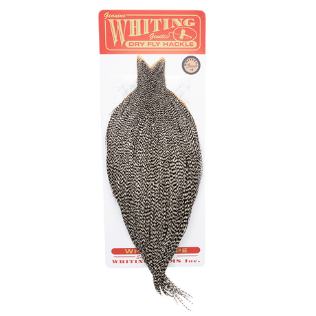 Whiting Bronze Cape