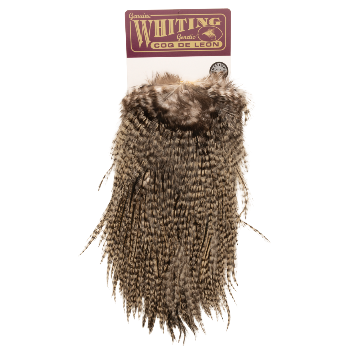 Whiting Coq de Leon Silver Saddle