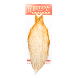 Whiting Farms Hen Cape