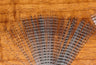 Hareline Barred Mayfly Tail