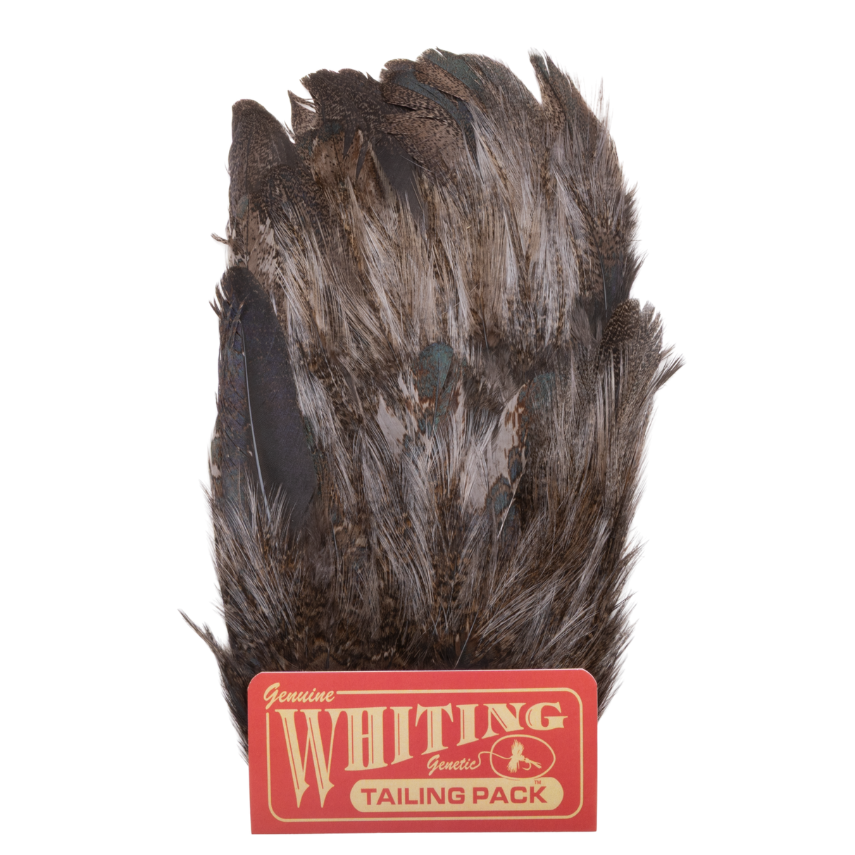 Whiting CDL Mayfly Tailing Pack