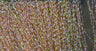 Hareline Midge Flash