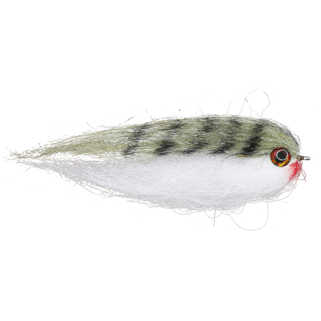 Olive White Baitfish