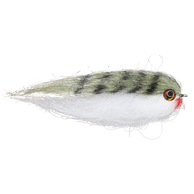 Olive White Baitfish