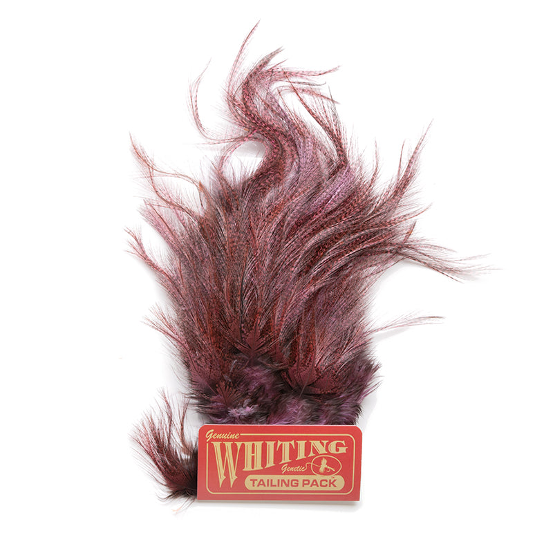 Whiting Hackle – Smitty's Fly Box