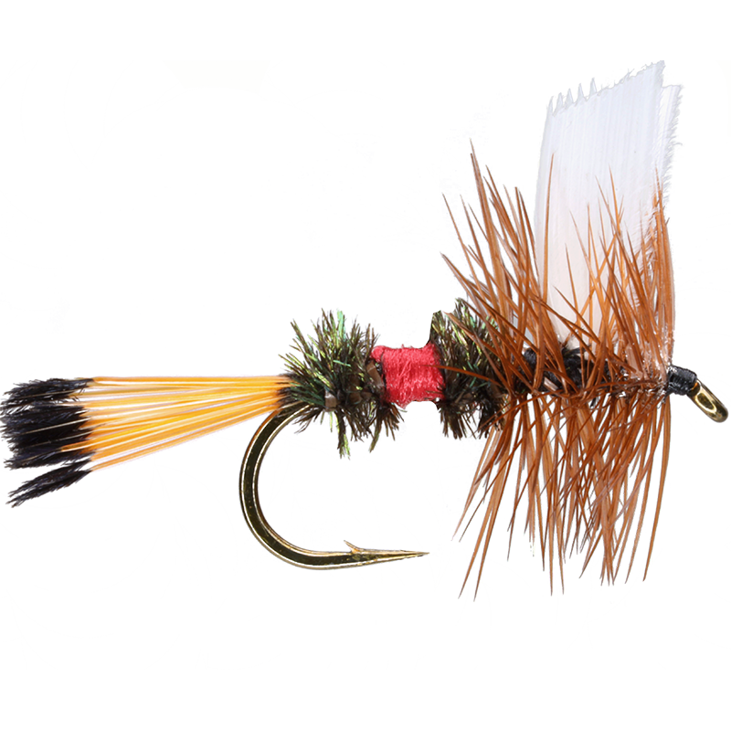 Coachman Insect Royal Coachman – Smitty's Fly Box
