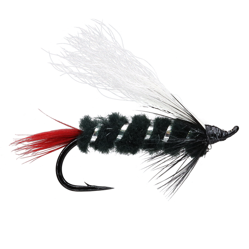 Steelhead Skunk