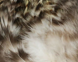 Hareline Strung Grizzly Saddle Hackle 4-6 Inch