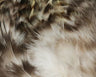Hareline Strung Grizzly Saddle Hackle 4-6 Inch