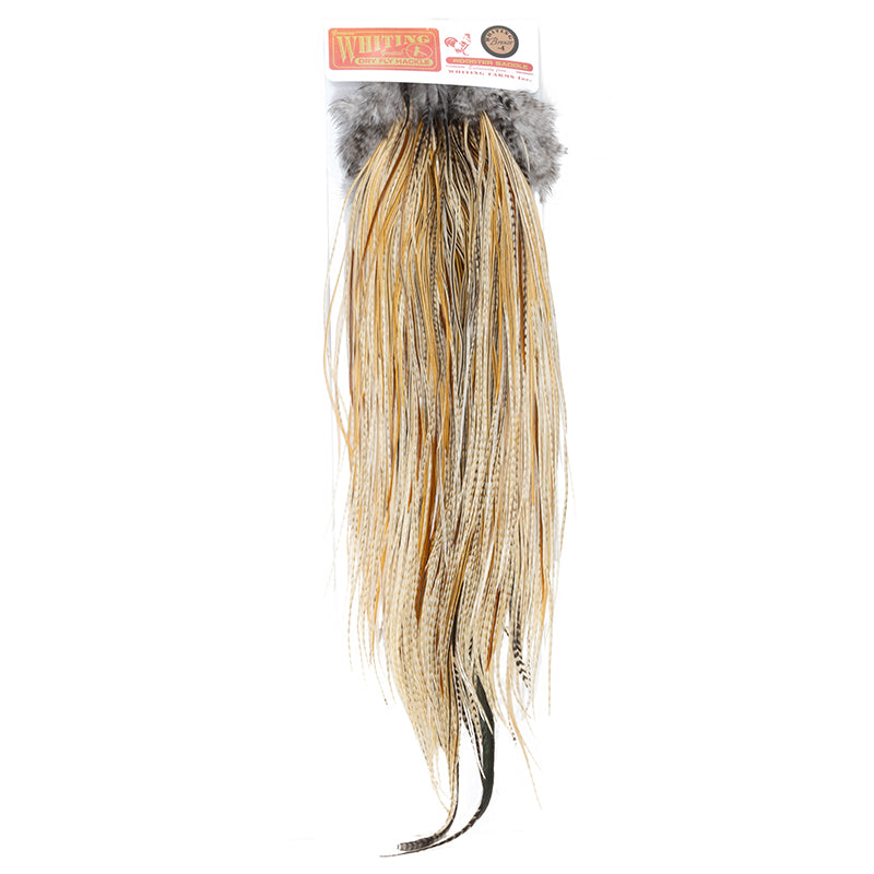 Whiting Rooster Saddle - Bronze Grade – Smitty's Fly Box