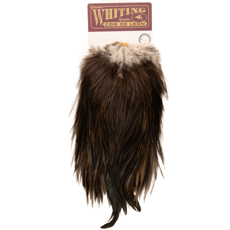 Whiting Coq de Leon Silver Saddle